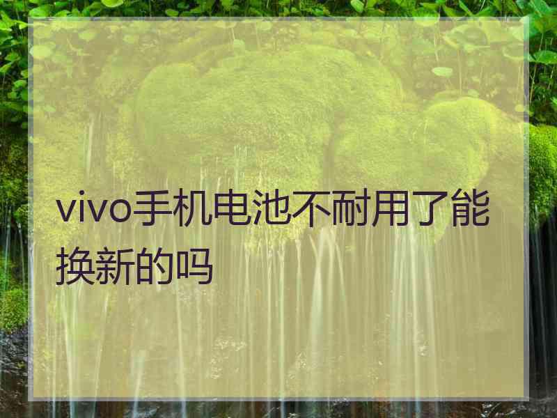 vivo手机电池不耐用了能换新的吗