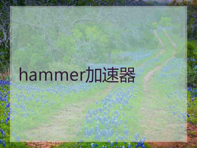 hammer加速器