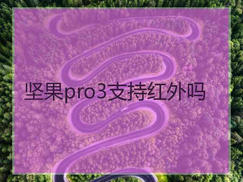 坚果pro3支持红外吗