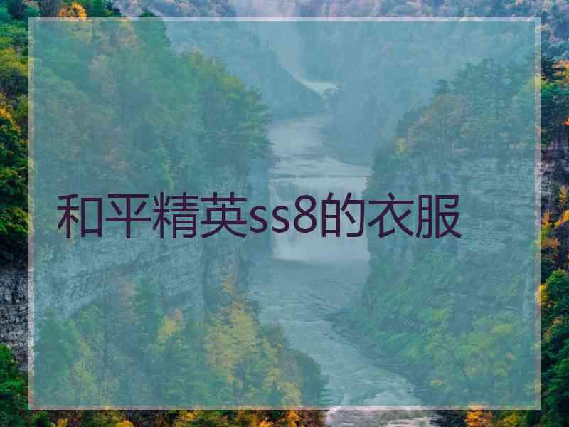 和平精英ss8的衣服