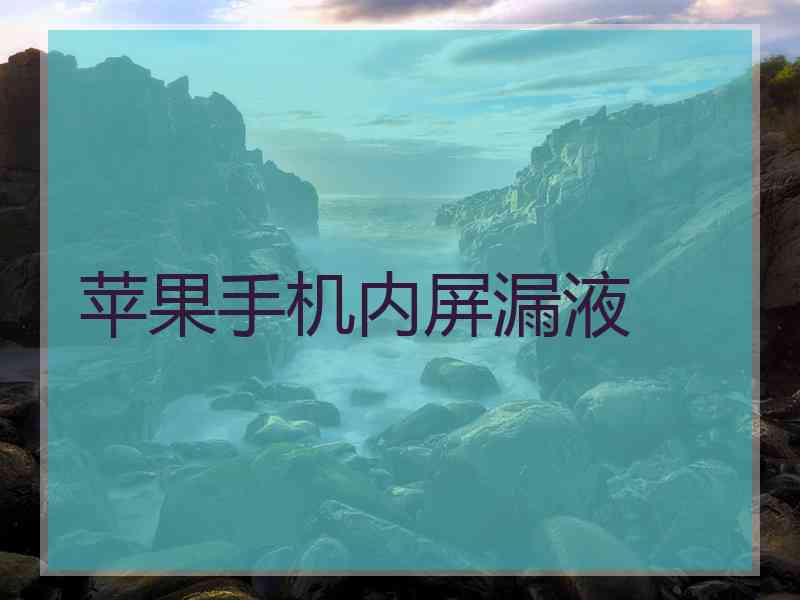 苹果手机内屏漏液