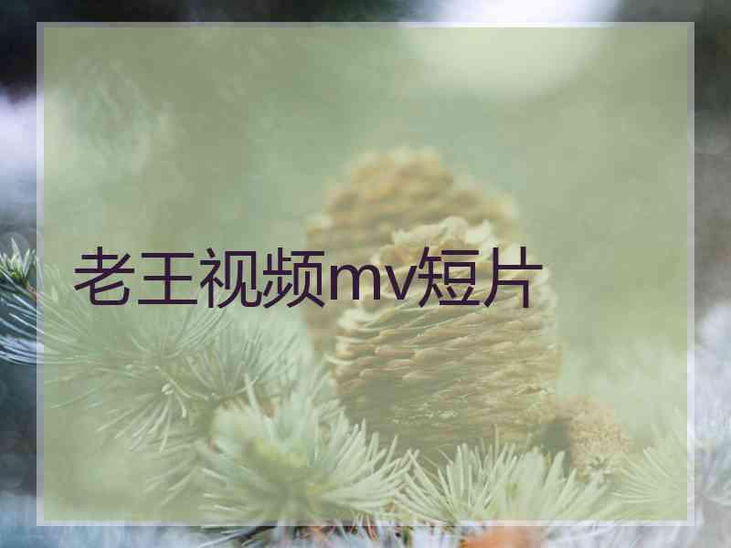 老王视频mv短片