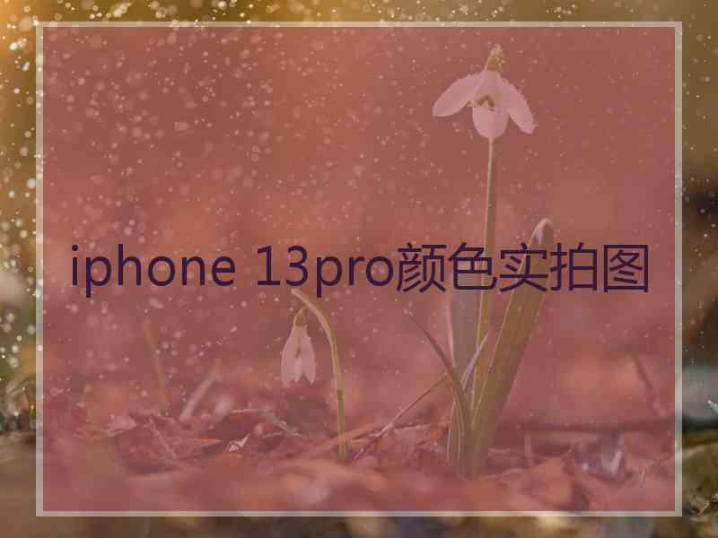 iphone 13pro颜色实拍图