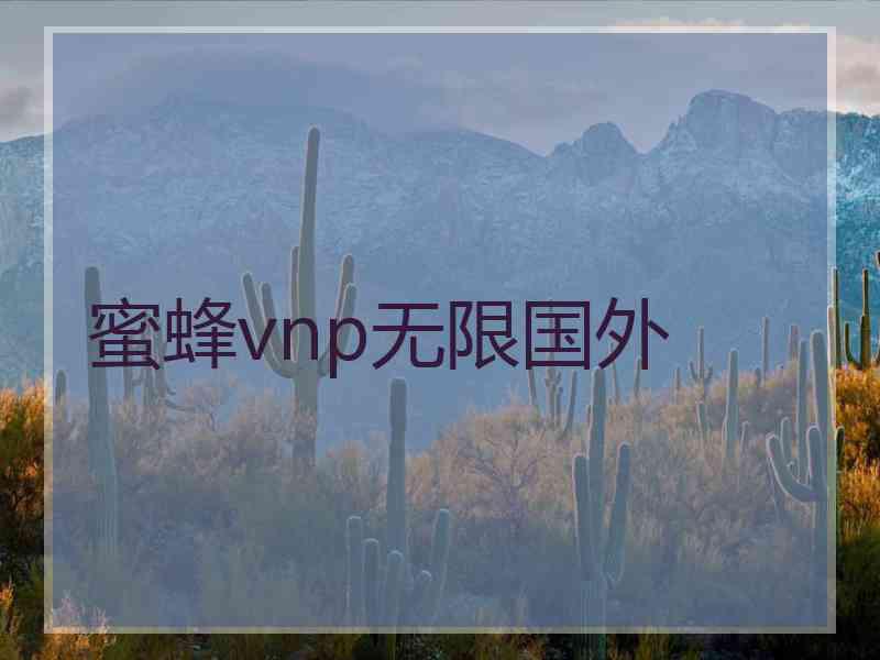 蜜蜂vnp无限国外