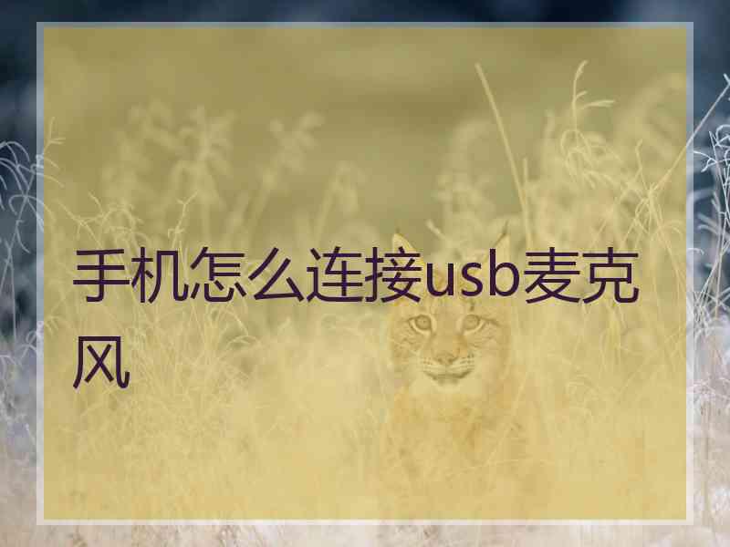 手机怎么连接usb麦克风