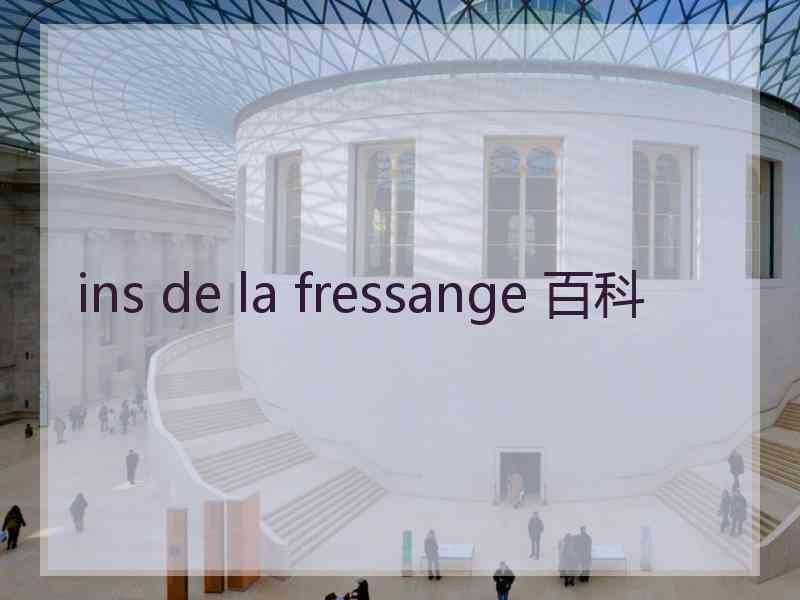 ins de la fressange 百科