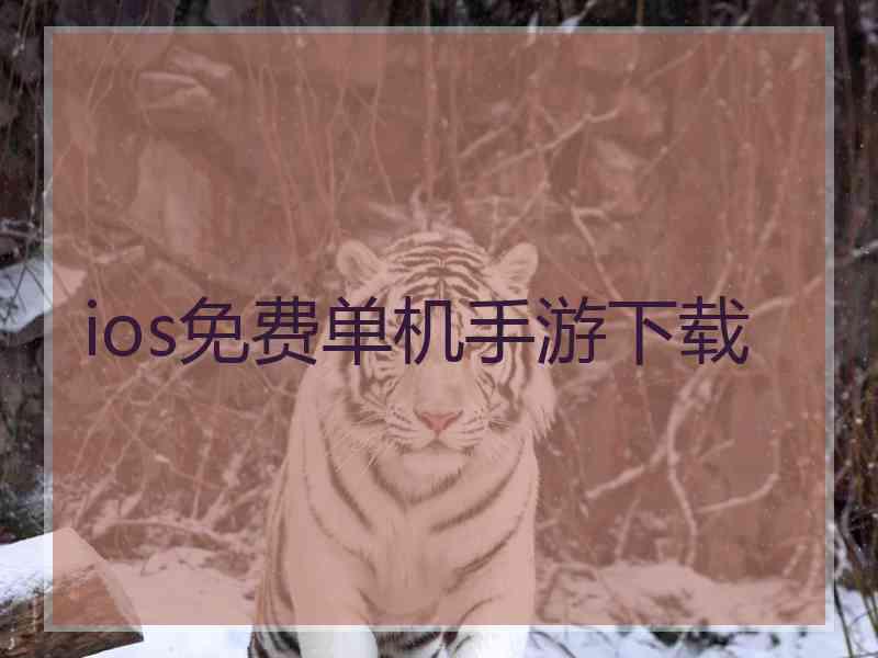 ios免费单机手游下载