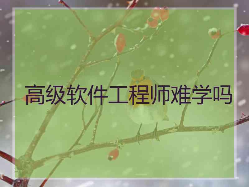 高级软件工程师难学吗