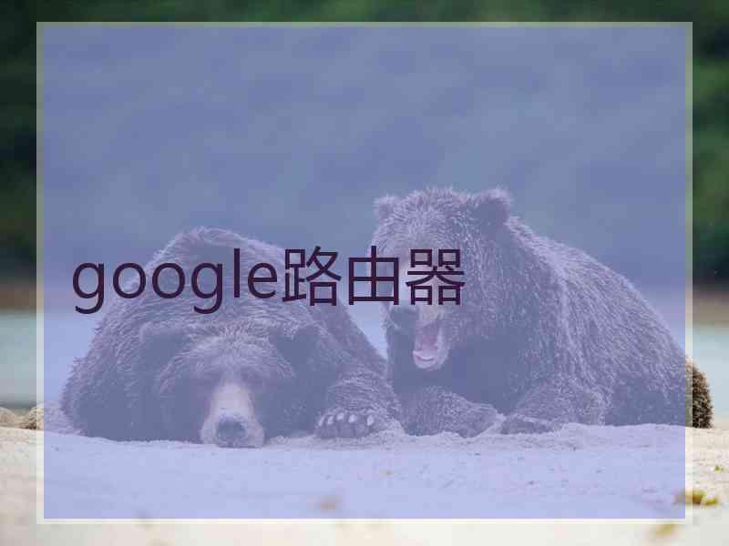 google路由器