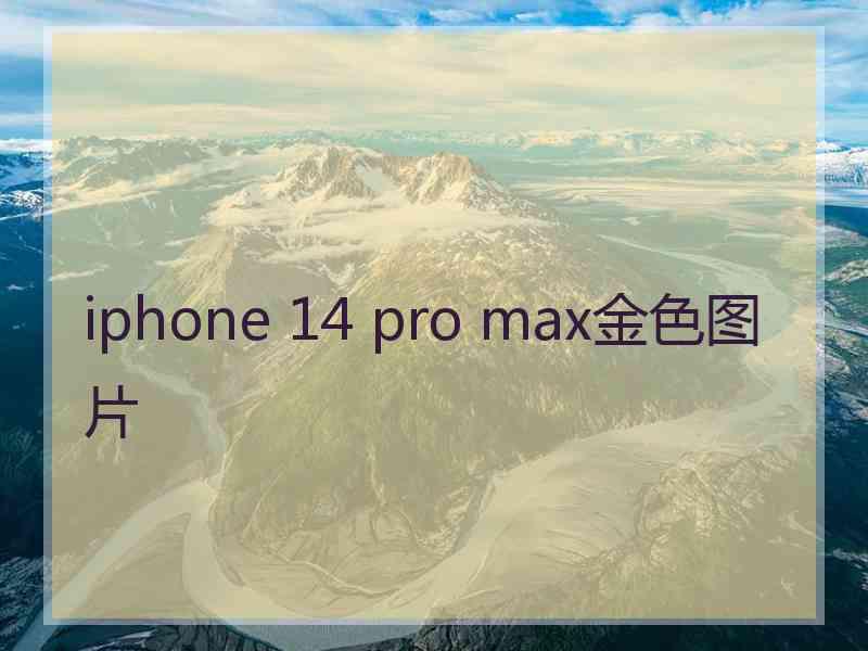 iphone 14 pro max金色图片