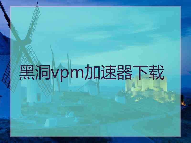 黑洞vpm加速器下载