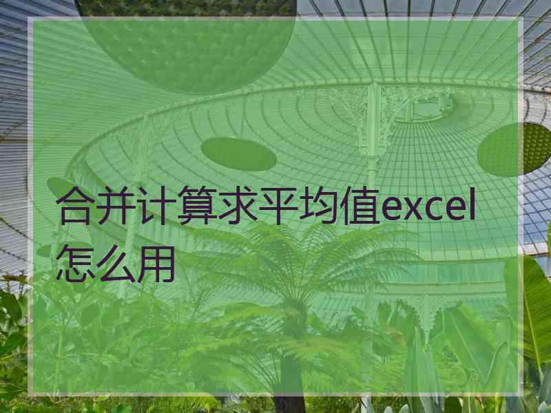 合并计算求平均值excel怎么用