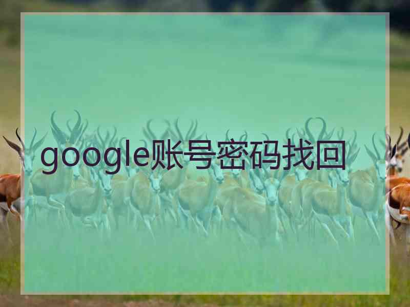 google账号密码找回