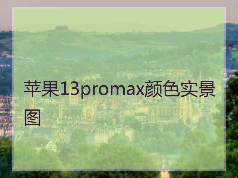 苹果13promax颜色实景图