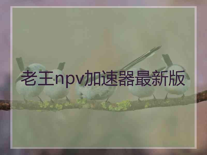 老王npv加速器最新版