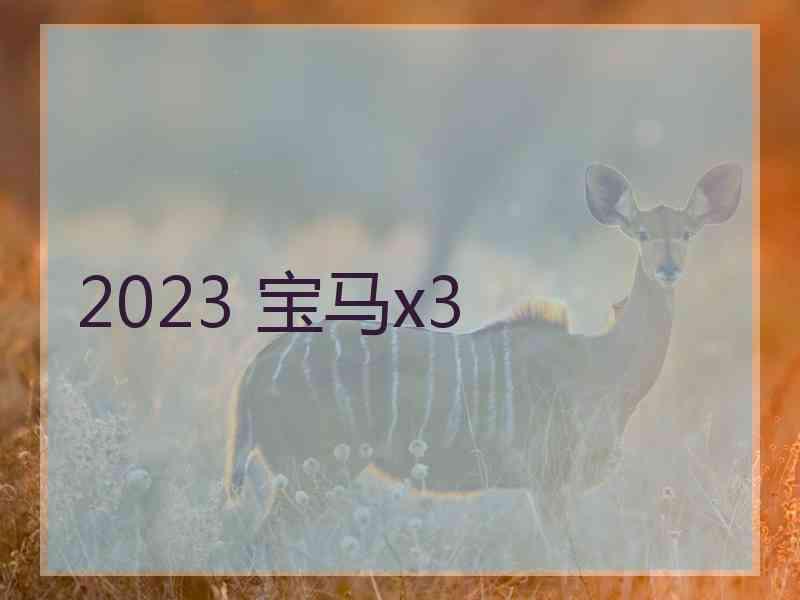 2023 宝马x3