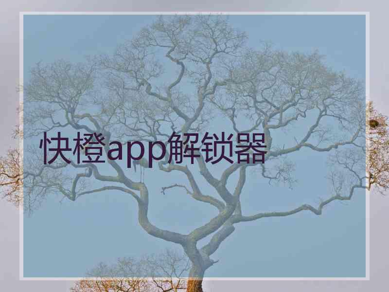 快橙app解锁器