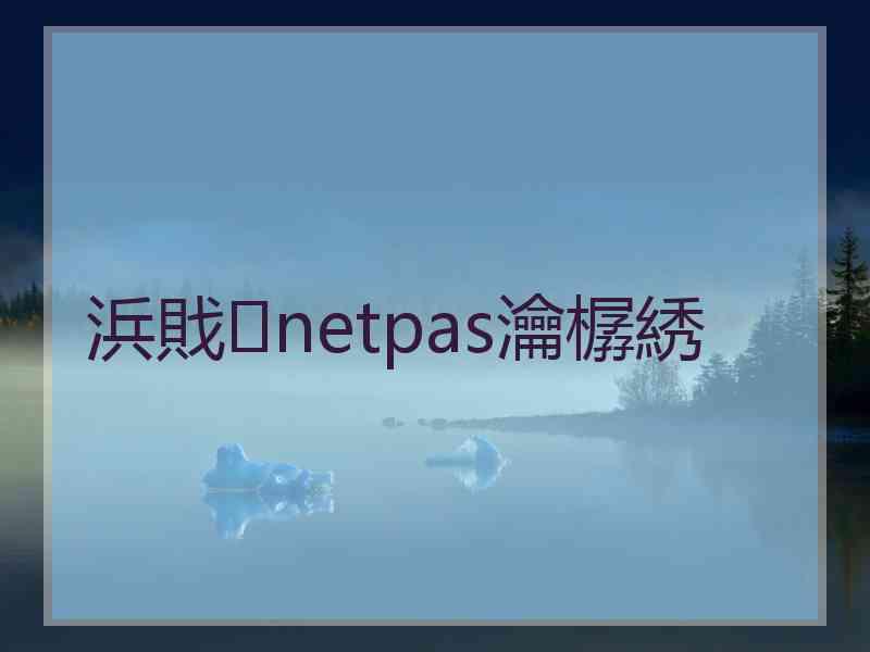 浜戝netpas瀹樼綉