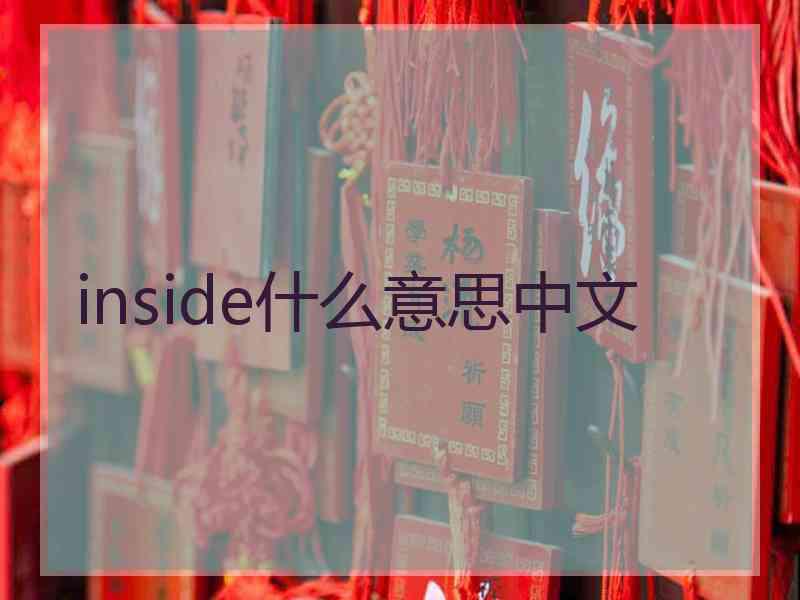 inside什么意思中文