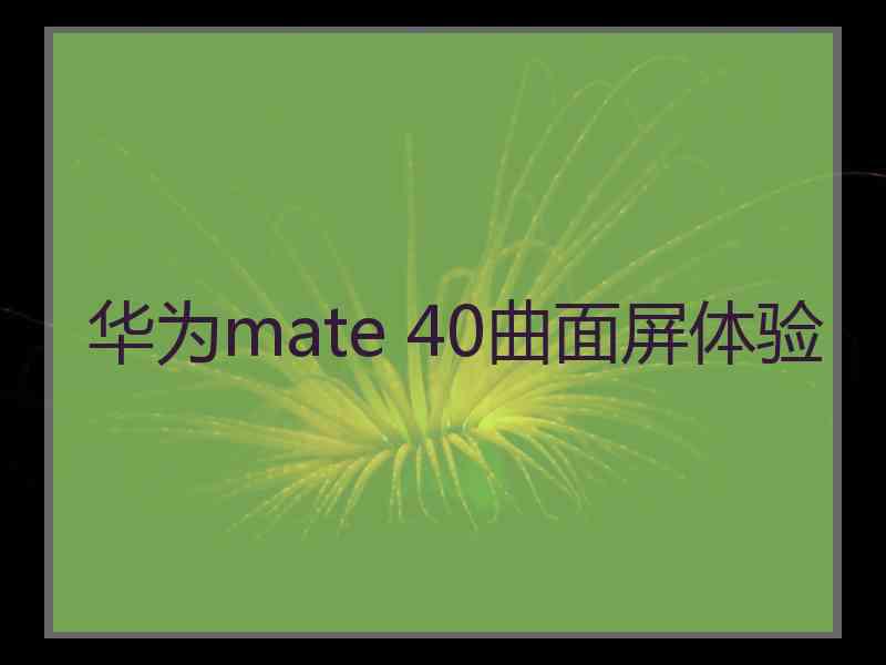 华为mate 40曲面屏体验