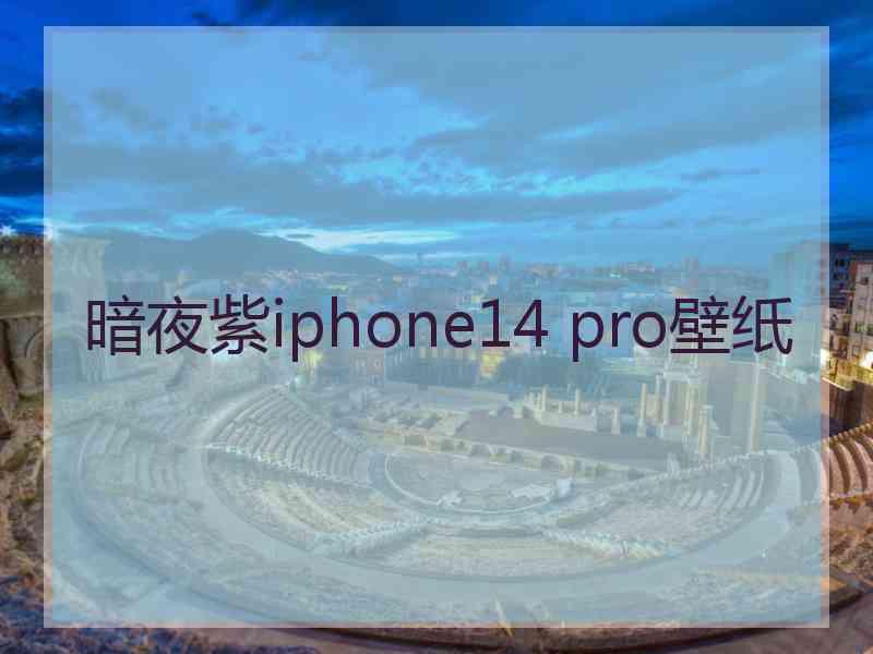 暗夜紫iphone14 pro壁纸