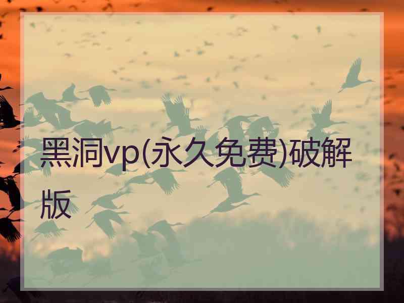 黑洞vp(永久免费)破解版