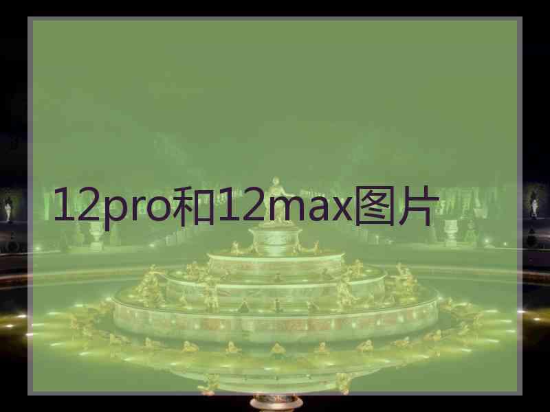 12pro和12max图片