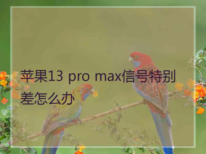 苹果13 pro max信号特别差怎么办