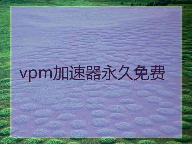 vpm加速器永久免费