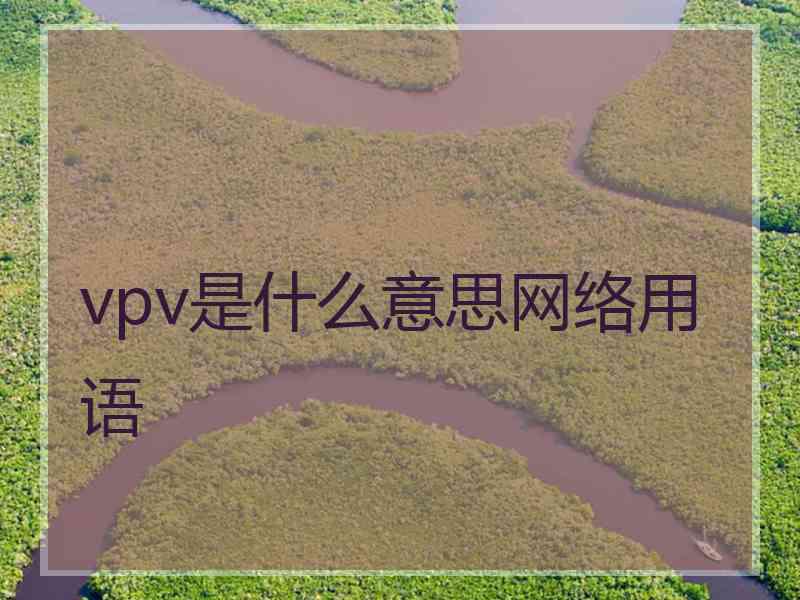 vpv是什么意思网络用语