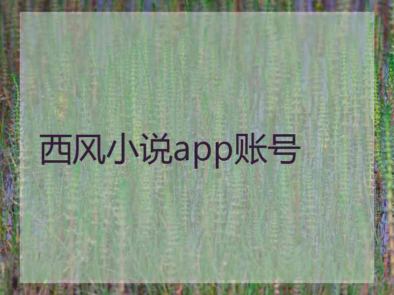 西风小说app账号