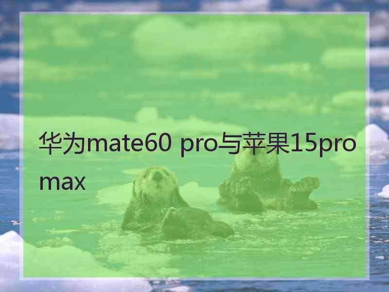 华为mate60 pro与苹果15promax