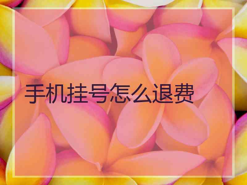 手机挂号怎么退费