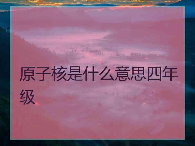 原子核是什么意思四年级