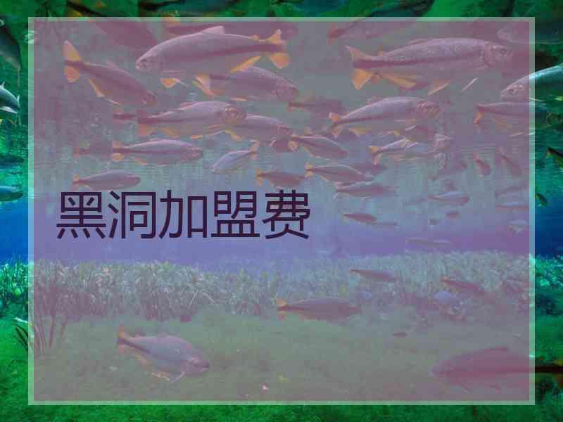 黑洞加盟费