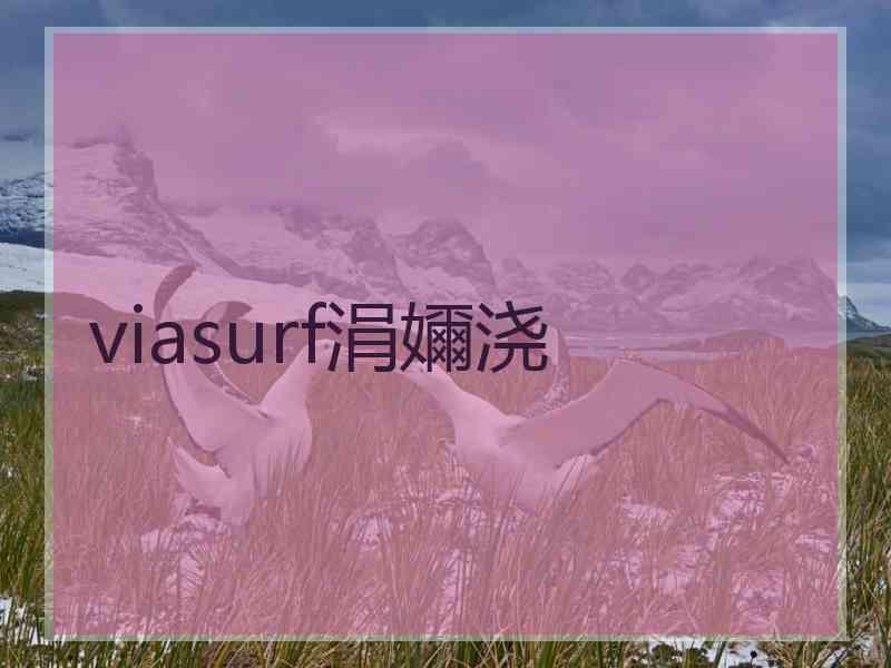 viasurf涓嬭浇