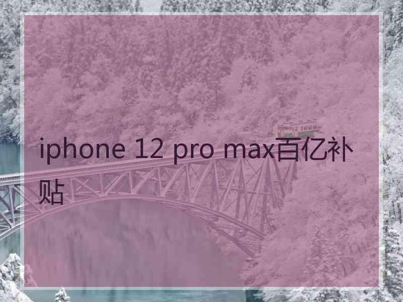 iphone 12 pro max百亿补贴