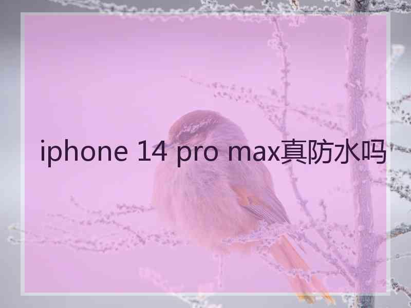 iphone 14 pro max真防水吗