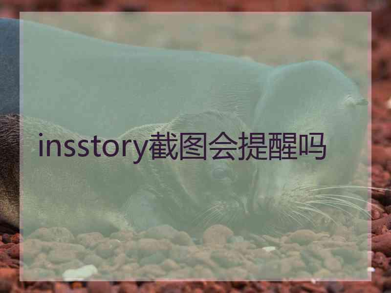 insstory截图会提醒吗