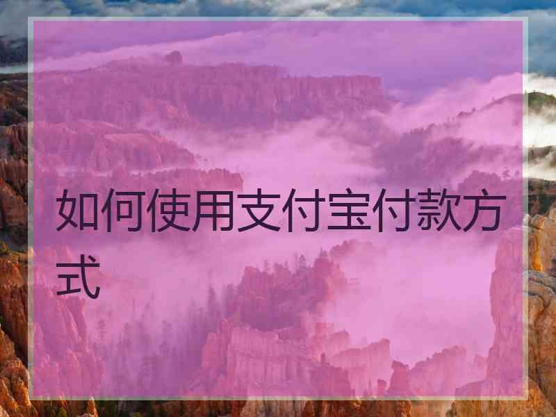 如何使用支付宝付款方式