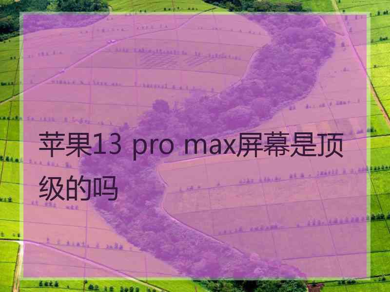 苹果13 pro max屏幕是顶级的吗