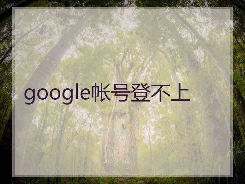 google帐号登不上