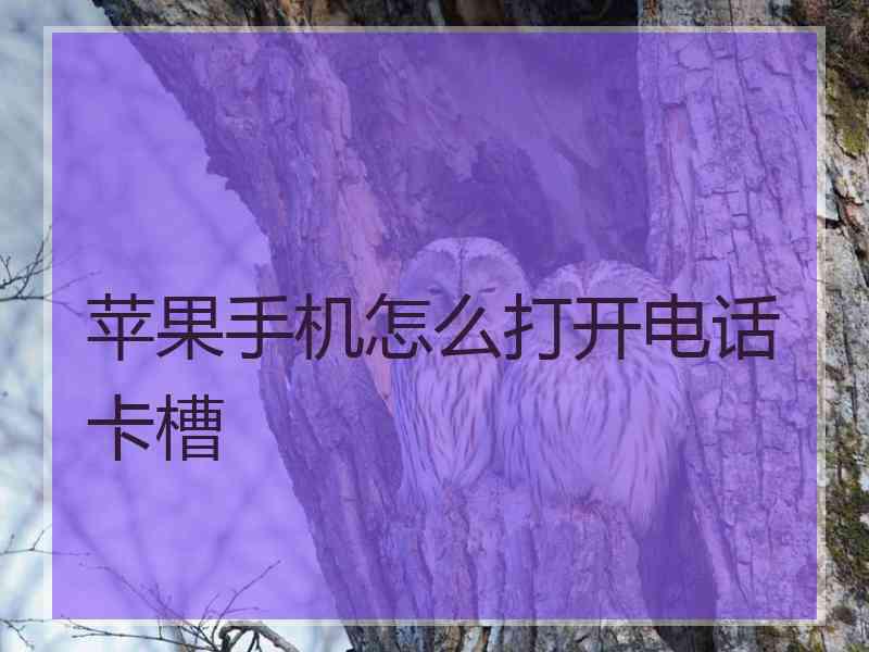 苹果手机怎么打开电话卡槽