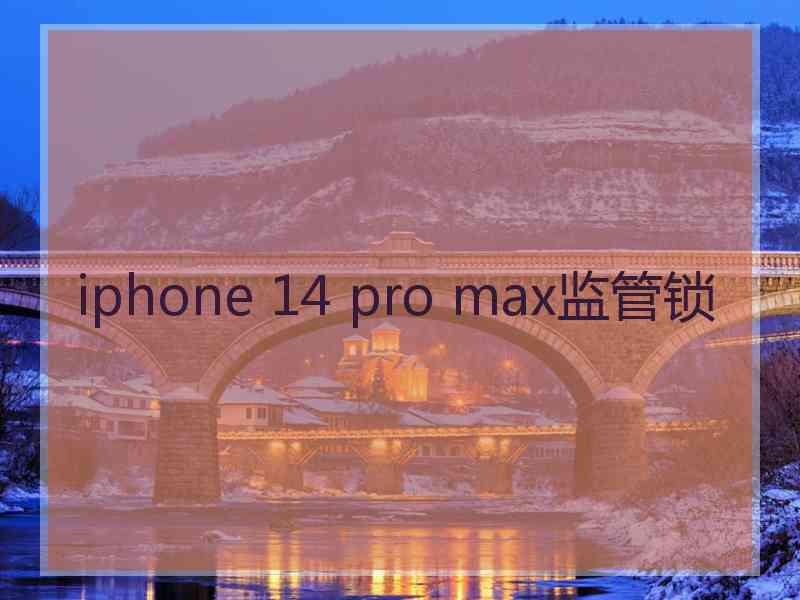 iphone 14 pro max监管锁