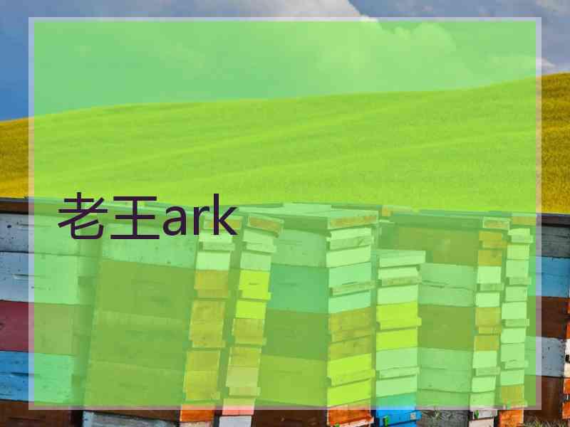 老王ark