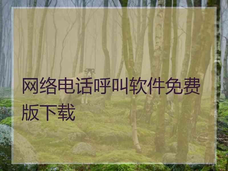 网络电话呼叫软件免费版下载