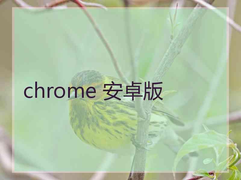 chrome 安卓版