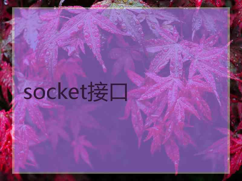 socket接口