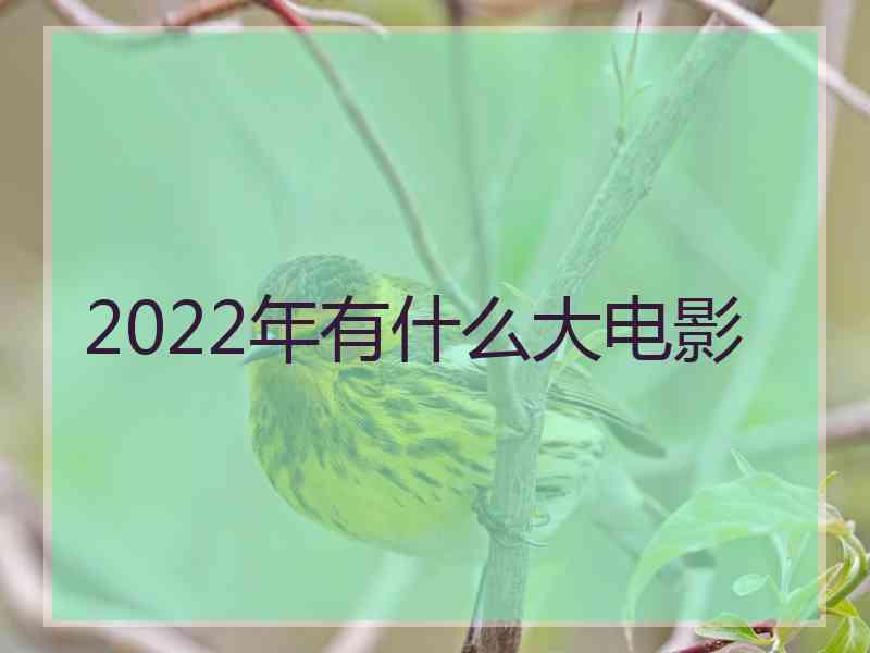 2022年有什么大电影