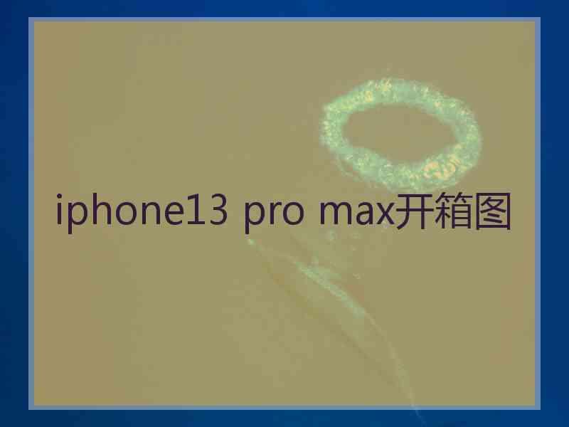 iphone13 pro max开箱图